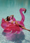 náhled Goldbergh Crystal Bikini Top Miami Pink