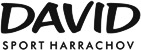 Logo DavidSport